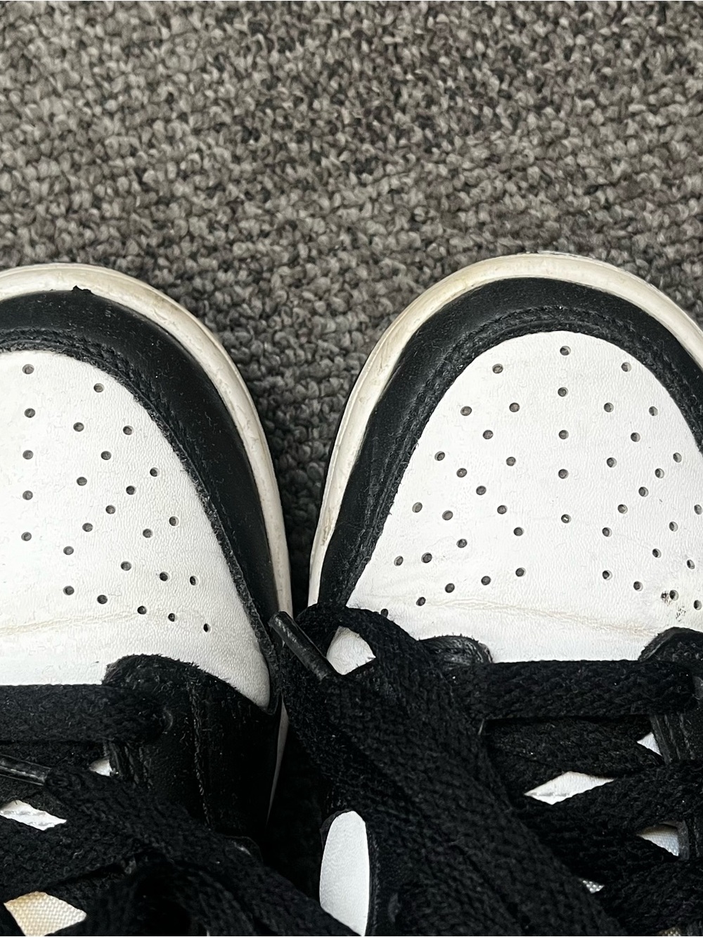 Nike Dunks - Picture 5 of 5